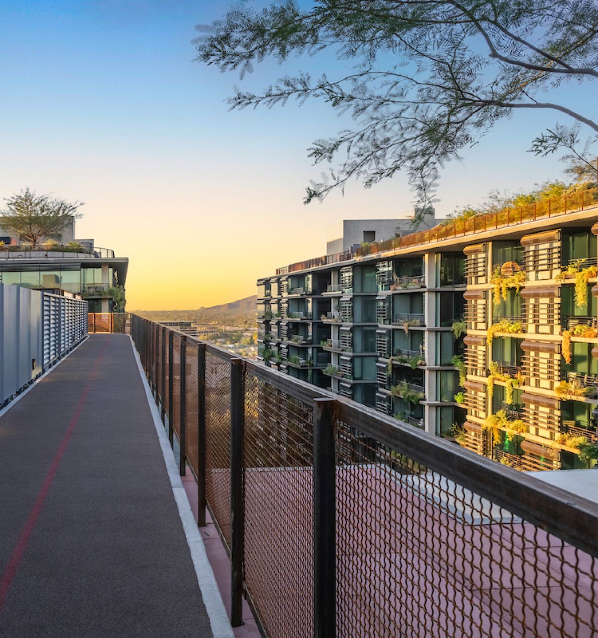 Sunlit walkway with railings between modern apartment buildings, ideal for morning rituals or daily routines amid trees and a distant mountain view.