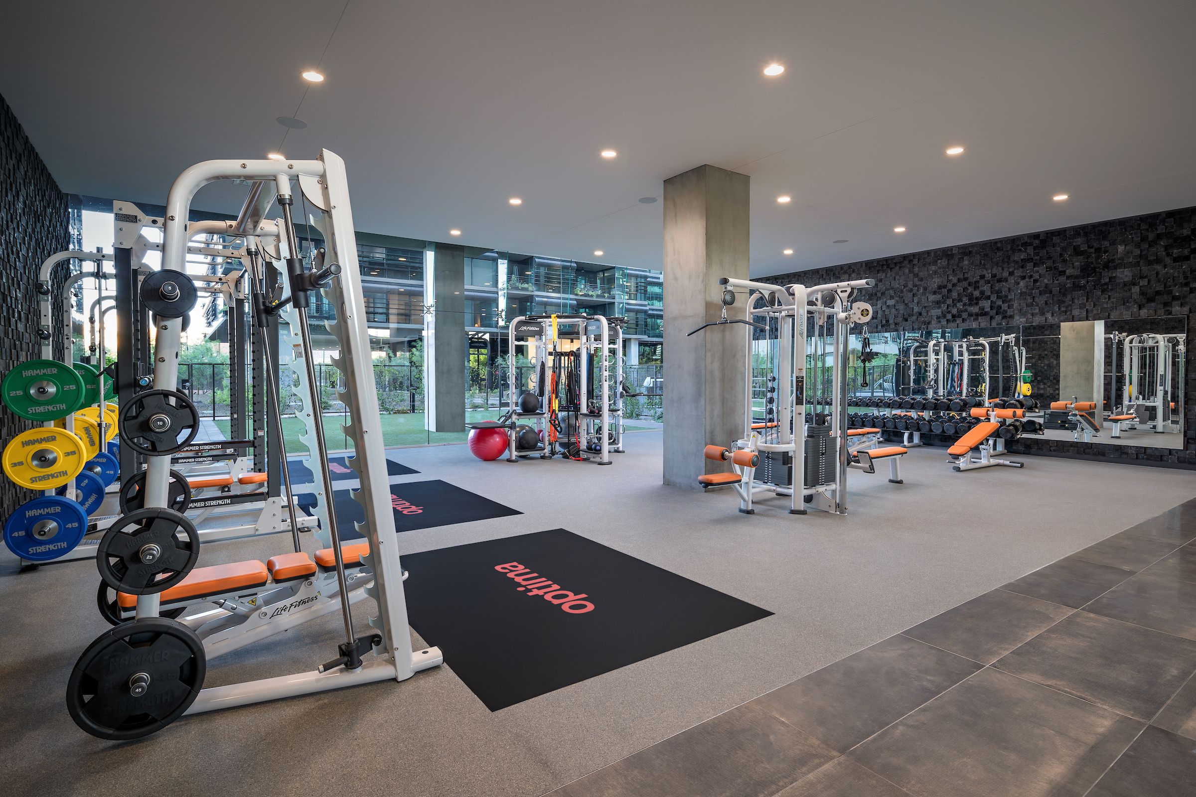 Modern gym offering effortless wellness, with weight machines, benches, colorful weights, mats, and large windows showing greenery outside.