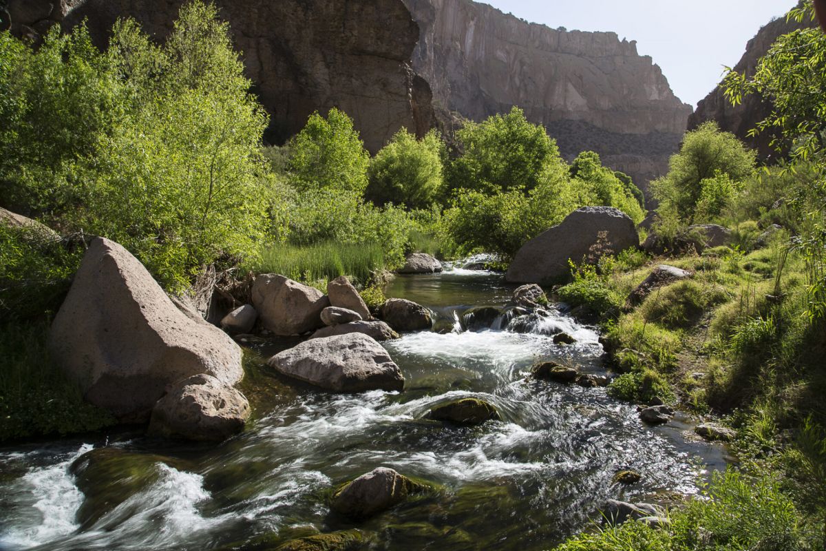A river flows between green trees and rocks in a sunlit canyon—Preserve and Protect nature with the AppreciateAZ program.