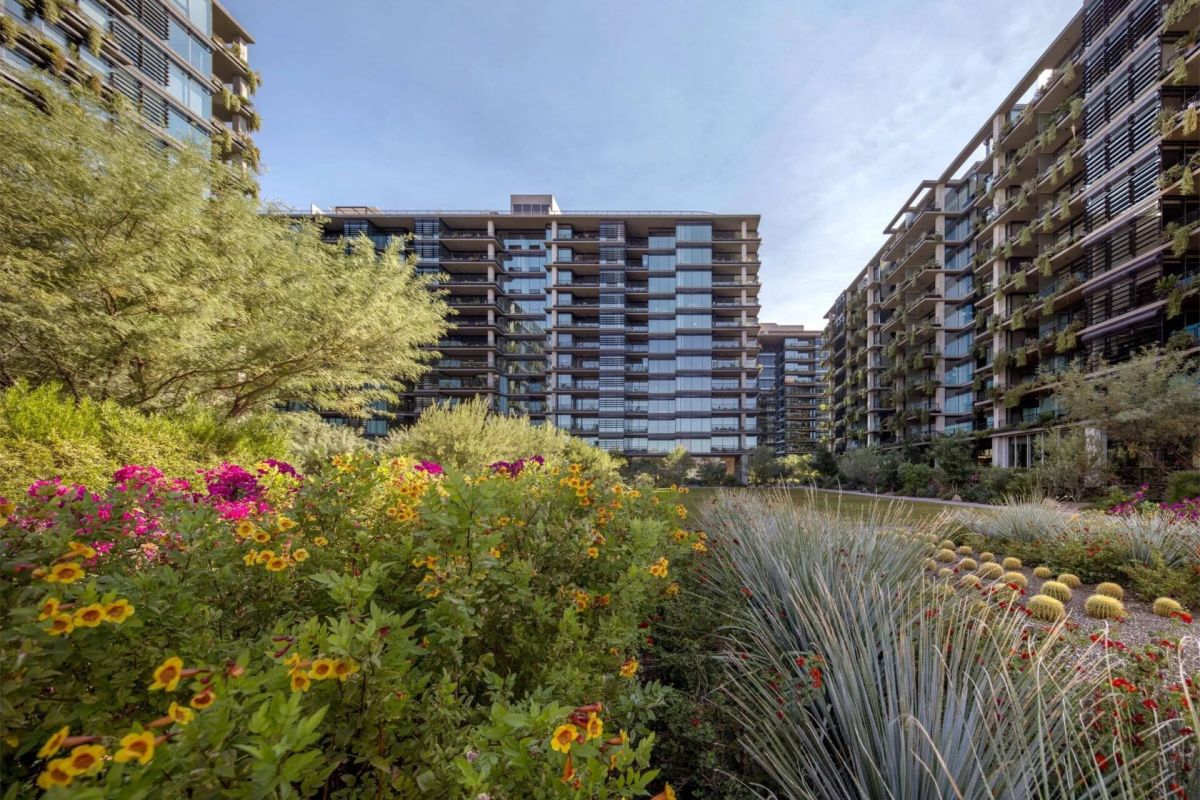 Colorful garden with flowers and cacti in front of modern apartment buildings under a clear sky.