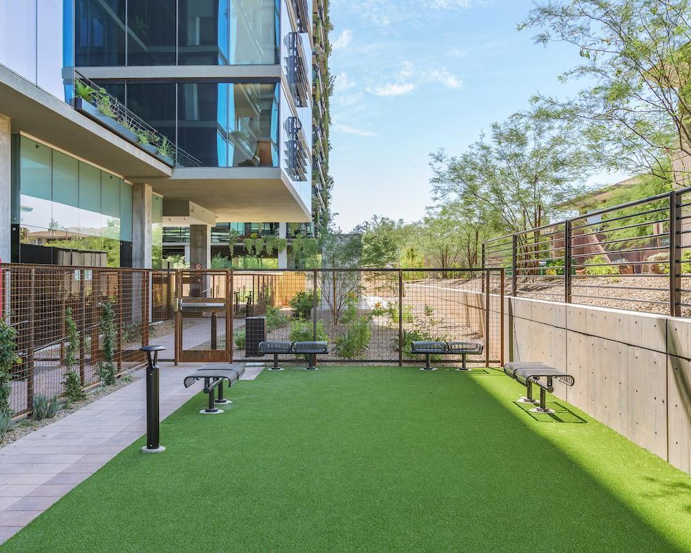 Outdoor dog park area with artificial grass, benches, and fencing beside a modern glass building.