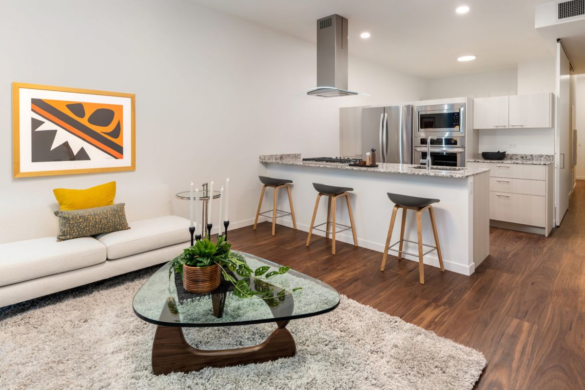 Modern open-plan living room and kitchen with spotlight lighting, a sofa, bar stools, glass coffee table, and plants.