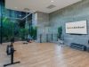 Modern studio gym at Optima Kierland Apartments with exercise bikes, weights, ballet barre, yoga ball, and large windows overlooking greenery.