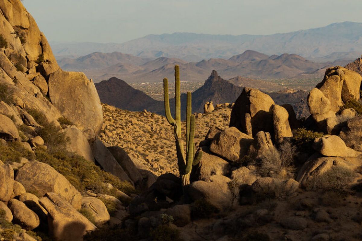 A tall saguaro cactus stands among desert rocks in the McDowell Sonoran Preserve, with distant mountains under a hazy sky.