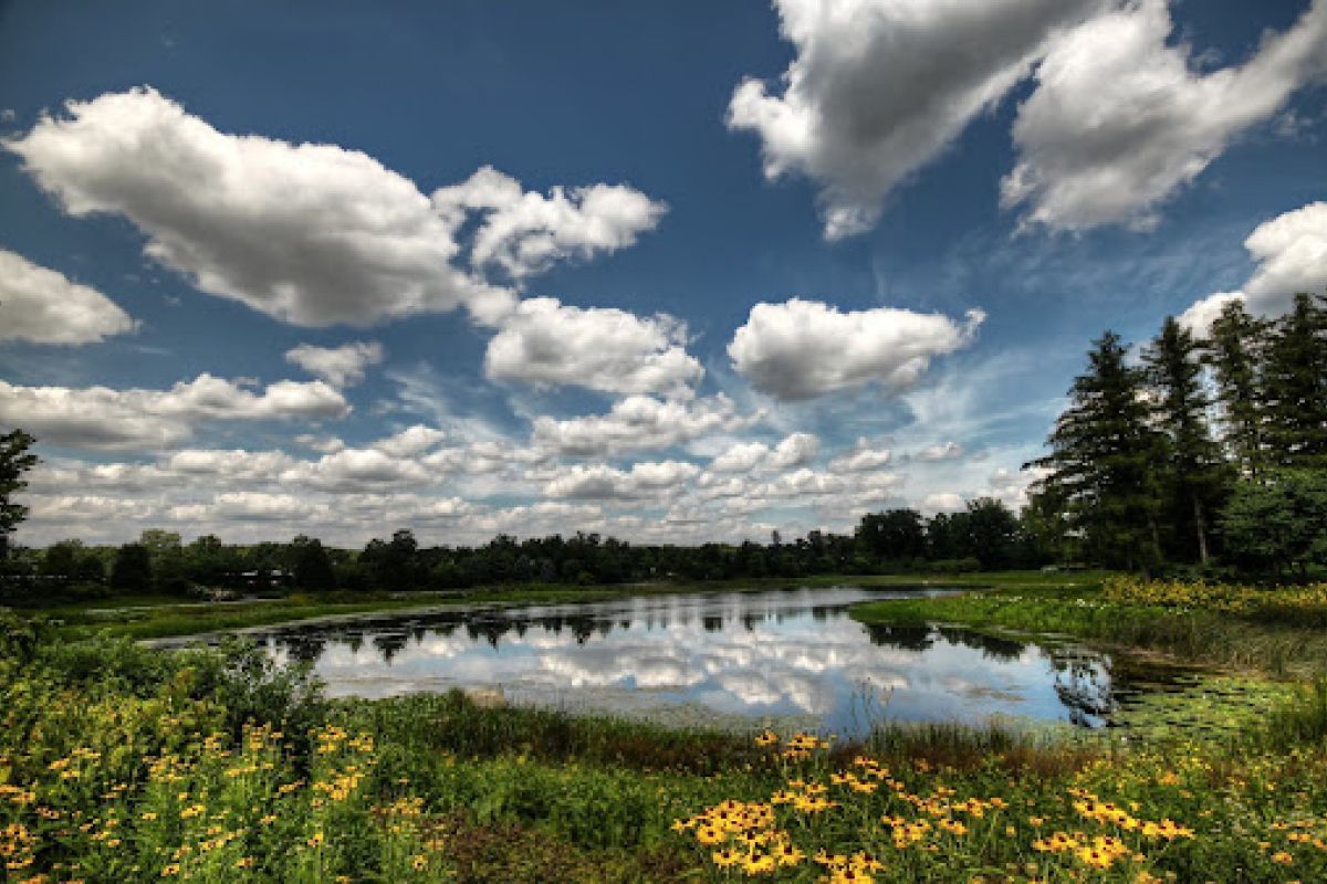 A pond reflects a blue sky with scattered clouds, bordered by green trees and yellow wildflowers near Optima Kierland Apartments.