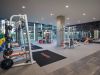 Modern gym offering effortless wellness, with weight machines, benches, colorful weights, mats, and large windows showing greenery outside.