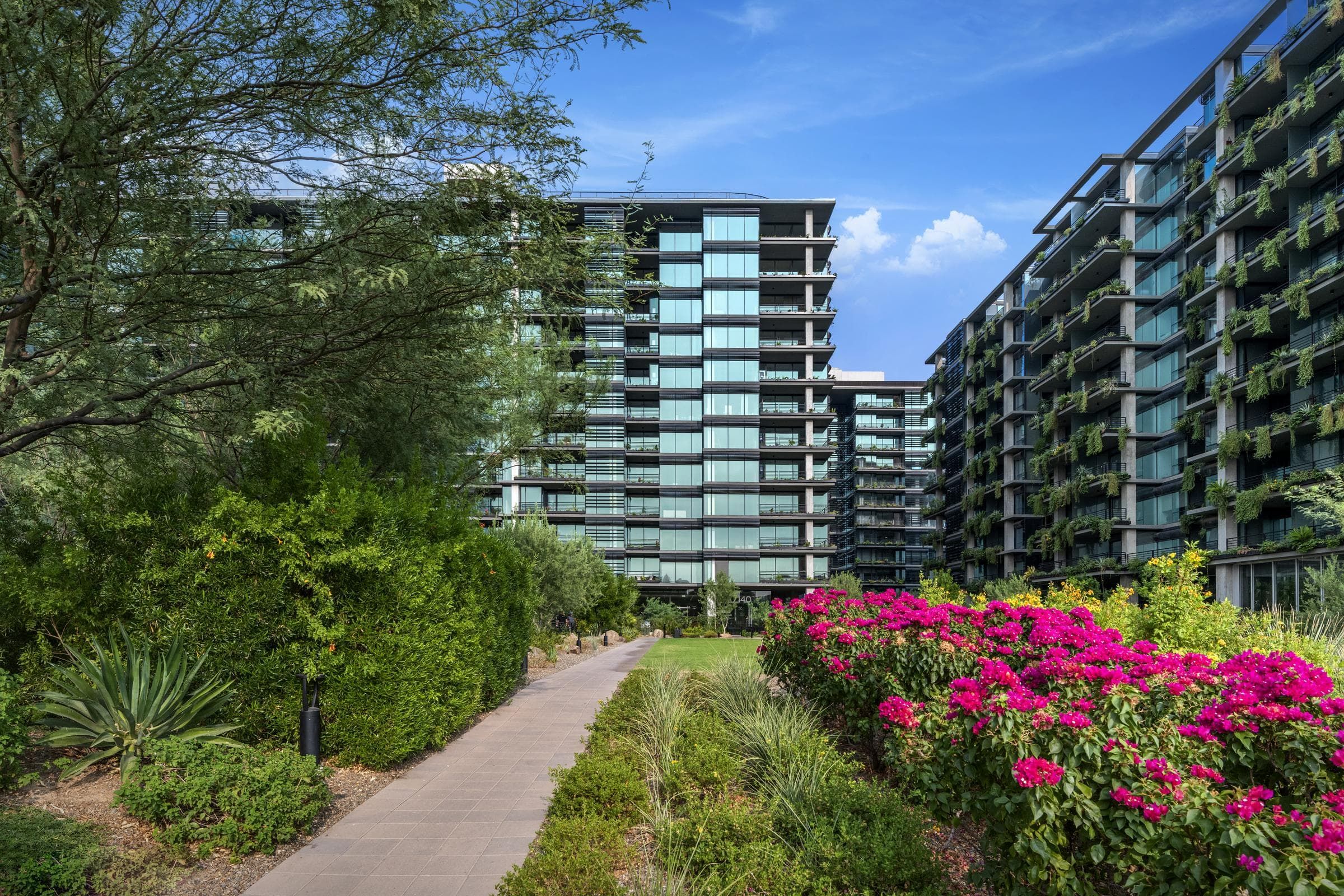 Pathway through lush gardens leading to modern glass apartment buildings under a clear blue sky.