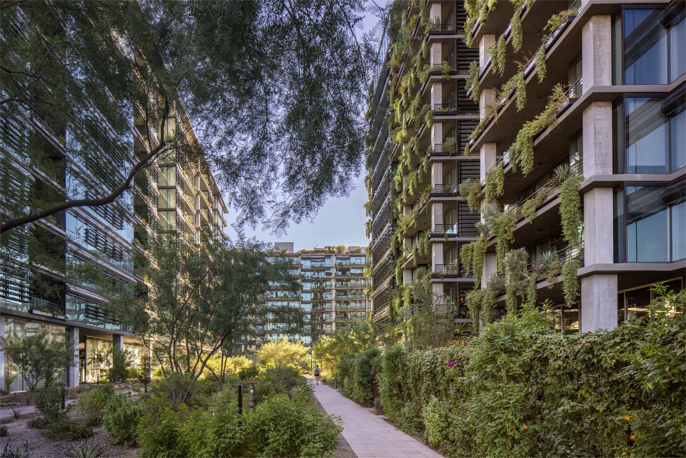 Pathway between modern buildings with balconies covered in green plants and trees, under a clear sky.