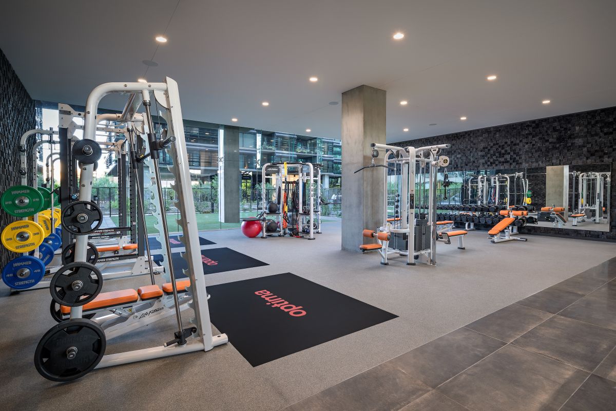 Modern gym offering effortless wellness, with weight machines, benches, colorful weights, mats, and large windows showing greenery outside.