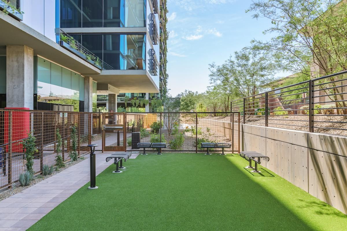 Outdoor dog park area with artificial grass, benches, and fencing beside a modern glass building.