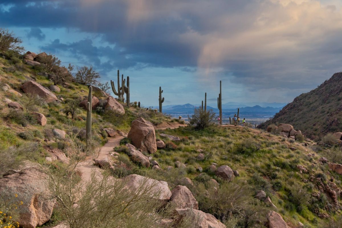 Winter hiking along trails near Scottsdale features cacti, rocky terrain, and distant mountains beneath a cloudy sky.