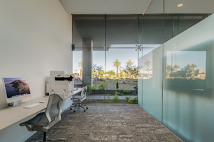 Modern office with computers and chairs, large glass windows, and a view of palm trees and greenery outside.