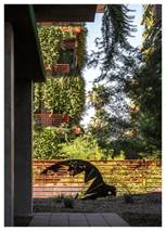 A lush vertical garden on a building’s facade, seen through greenery and a shaded patio area.