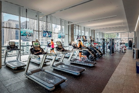 Modern gym with treadmills and exercise equipment, large windows, and a city view in the background.