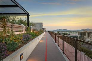 Urban rooftop walkway with a red line, plants on the left, city buildings, and mountains in the distance at sunset.