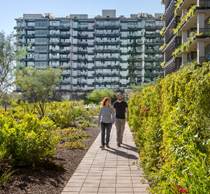 Two people walk along a garden stone path beside Optima Kierland, enjoying their daily rituals.
